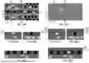 Fig. 48 - THREE-DIMENSIONAL MEMORY DEVICE WITH PILLAR SHAPED TRENCH BRIDGE STRUCTURES AND METHODS OF FORMING THE SAME