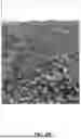 Fig. 06 - MICROALGAE-BASED SOIL INOCULATING SYSTEM AND METHODS OF USE