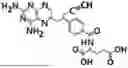 Fig. 01 - GAMMA POLYGLUTAMATED PRALATREXATE AND USES THEREOF