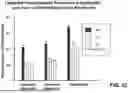 Fig. 15 - GAMMA POLYGLUTAMATED PRALATREXATE AND USES THEREOF