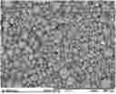 Fig. 01 - PARTICLES AND SUSPENSIONS COMPRISING HYALURONAN DEGRADING AGENTS AND METHODS OF USE THEREOF