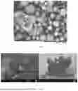 Fig. 02 - PARTICLES AND SUSPENSIONS COMPRISING HYALURONAN DEGRADING AGENTS AND METHODS OF USE THEREOF