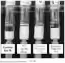 Fig. 40 - PARTICLES AND SUSPENSIONS COMPRISING HYALURONAN DEGRADING AGENTS AND METHODS OF USE THEREOF