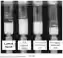 Fig. 41 - PARTICLES AND SUSPENSIONS COMPRISING HYALURONAN DEGRADING AGENTS AND METHODS OF USE THEREOF