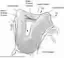 Fig. 01 - GAS WASHOUT VENT FOR PATIENT INTERFACE