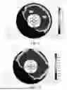 Fig. 09 - IMPLANTABLE ARRAYS FOR PROVIDING TUMOR TREATING FIELDS