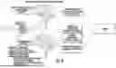 Fig. 10 - Ocular Photo-Bio-Stimulation Optics