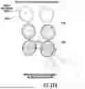 Fig. 29 - Ocular Photo-Bio-Stimulation Optics