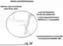 Fig. 45 - Ocular Photo-Bio-Stimulation Optics