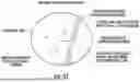 Fig. 48 - Ocular Photo-Bio-Stimulation Optics