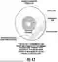 Fig. 53 - Ocular Photo-Bio-Stimulation Optics