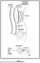 Fig. 02 - METHODS AND SYSTEMS FOR TREATMENT OF SYSTEMIC INFLAMMATORY DISORDERS