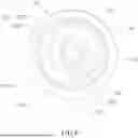 Fig. 09 - EXTENDED RATCHET WRENCH