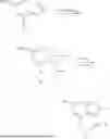 Fig. 167 - METHOD FOR PREPARING NITROGEN-CONTAINING POLYCYCLIC FUSED RING COMPOUND, AND INTERMEDIATE AND USE OF COMPOUND