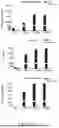 Fig. 09 - Compositions and Methods for Treating Cancer with Anti-CD19/CD22 Immunotherapy