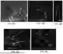 Fig. 07 - SYSTEMS AND METHODS FOR GROWING CELLS IN VITRO