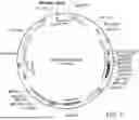 Fig. 09 - SYSTEMS AND METHODS FOR GROWING CELLS IN VITRO