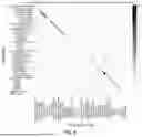 Fig. 06 - RAMAN SPECTRUM CLASSIFICATION METHOD, SPECIES BLOOD AND SEMEN CLASSIFICATION METHOD AND SPECIES CLASSIFICATION METHOD