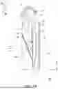 Fig. 02 - NEAR-EYE DISPLAY DEVICE