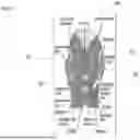 Fig. 07 - SYSTEMS, METHODS, DEVICES AND APPARATUSES FOR DETECTING FACIAL EXPRESSION