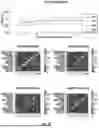 Fig. 18 - SYSTEMS, METHODS, DEVICES AND APPARATUSES FOR DETECTING FACIAL EXPRESSION