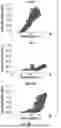 Fig. 22 - SYSTEMS, METHODS, DEVICES AND APPARATUSES FOR DETECTING FACIAL EXPRESSION