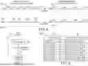 Fig. 06 - METHODS FOR CONFIGURING AND COMMISSIONING A BUILDING SYSTEM WITH A BROKERING ARCHITECTURE