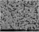 Fig. 01 - POSITIVE ELECTRODE ACTIVE MATERIAL AND LITHIUM SECONDARY BATTERY COMPRISING THE SAME