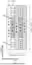 Fig. 09 - PARTIAL REPETITION OF PHYSICAL BROADCAST CHANNEL