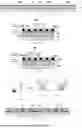 Fig. 07 - DISPLAY MODULE, LED OPTICAL DEVICE AND MANUFACTURING METHOD THEREFOR