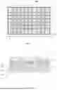 Fig. 08 - DISPLAY APPARATUS, DISPLAY PANEL AND METHOD OF PREPARING THE SAME