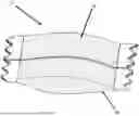 Fig. 01 - CONSTITUENT, DERIVATIVE OR EXTRACT OF CANNABIS IN AMORPHOUS FORM