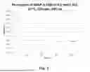 Fig. 03 - SUSTAINED RELEASE COMPOSITION COMPRISING A HYDROXYALKYL METHYLCELLULOSE