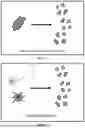 Fig. 02 - THERAPEUTIC COMPOSITIONS AND METHODS OF USE THEREOF