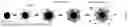 Fig. 02 - FUNCTIONALIZED BIOCATALYTICAL COMPOSITIONS