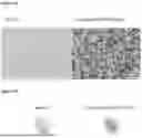 Fig. 08 - FUNCTIONALIZED BIOCATALYTICAL COMPOSITIONS