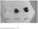 Fig. 06 - PIEZOELECTRIC SHEAR-THINNING MATERIAL COMPOSITIONS AND METHODS FOR USE