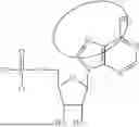 Fig. 08 - MODIFIED NUCLEOSIDES, NUCLEOTIDES, AND NUCLEIC ACIDS, AND USES THEREOF