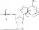 Fig. 09 - MODIFIED NUCLEOSIDES, NUCLEOTIDES, AND NUCLEIC ACIDS, AND USES THEREOF