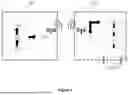Fig. 02 - Gastric Electrical Stimulation System