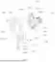 Fig. 06 - WEIGHT-VISUALIZED DUMBBELL
