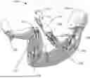 Fig. 01 - REFLEXIVE TRAINING APPARATUS