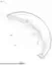 Fig. 07 - TOY WATER BALL