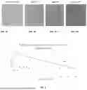 Fig. 02 - SURFACE RETARDER FORMULATION AND METHOD FOR REPLICATING AN ACID ETCH OR SAND BLAST ASPECT ON CEMENTITIOUS MATERIAL