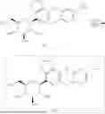 Fig. 07 - METHOD FOR PRODUCING INTERMEDIATE USEFUL FOR SYNETHESIS OF SGLT INHIBITOR