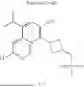 Fig. 176 - 2-PIPERIDYL OR 2-PYRAZOLYL SUBSTITUTED PYRIMIDINE COMPOUND SERVING AS EGFR INHIBITOR