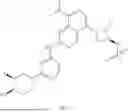 Fig. 229 - 2-PIPERIDYL OR 2-PYRAZOLYL SUBSTITUTED PYRIMIDINE COMPOUND SERVING AS EGFR INHIBITOR