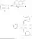 Fig. 320 - IDO/TDO Inhibitor