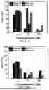 Fig. 09 - PHOSPHONIUM-BEARING CONJUGATED POLYELECTROLYTES