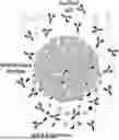Fig. 01 - METHODS FOR PURIFYING TARGET BIOLOGICS